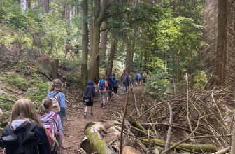 Auf ins Woodcamp – Unsere Fünfer auf Klassenfahrt