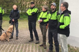 Haya = Beech = Buche