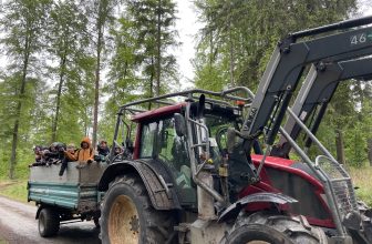 Der Schnuppertag der 6.Klassen im Schulwald