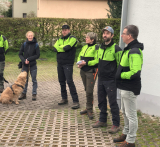 Haya = Beech = Buche