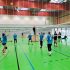 Von wildem Kohl und Konzentrationstest